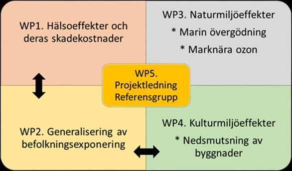 Syftet med REVSEK var att åstadkomma ett underlag för reviderade ASEK-värden för luftföroreningar (exklusive växthusgaser) från vägtrafiken utifrån de senaste vetenskapliga resultaten.