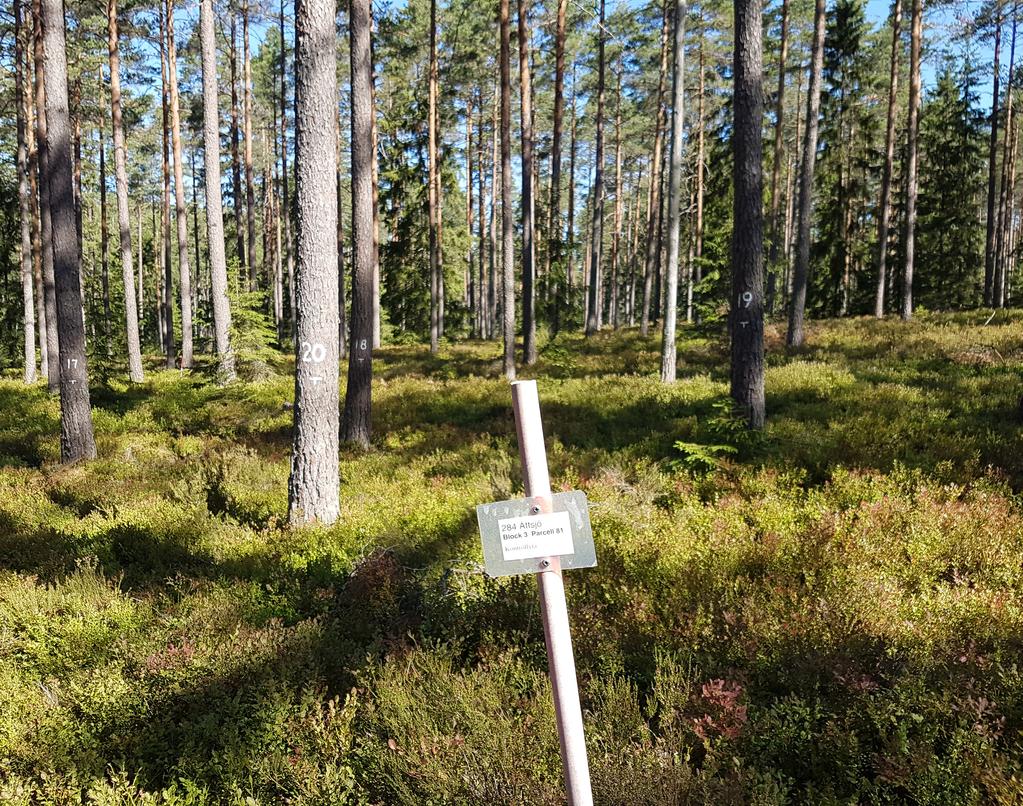 ARBETSRAPPORT 1022-2019 Tillväxteffekter av kvävegödsling i sydsvenska tallbestånd Effects of nitrogen