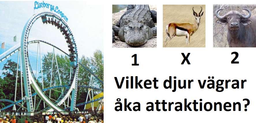 8 37 53 63 VUXEN & BARN KLURING FRÅGA 7: DJUR INTE PÅ LISEBERG VUXEN: Vilket