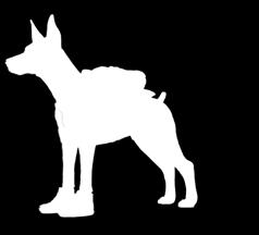 00 18.00 uur) CAS (Contemporary Art Space) Frans Musinstraat 19 www.diepsee.be Cloned Doberman Willam Sweetlove William Sweetlove werd in 1949 in Oostende geboren.