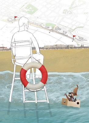 In de Noordzee lijken koudwatersoorten als de grijze garnaal weg te trekken en komen warmwatersoorten als de kleine pieterman steeds meer voor.