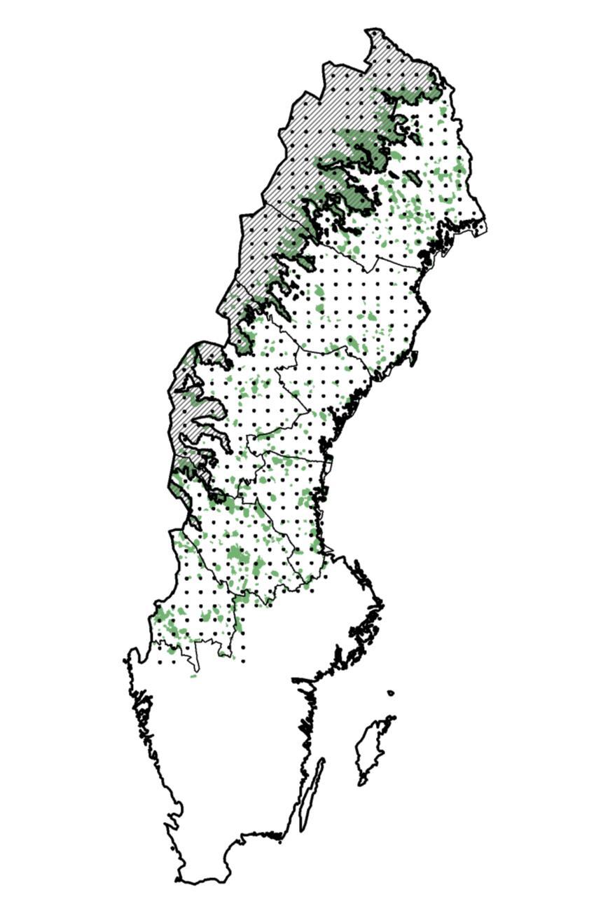 Figur 3. Det fjällnära området (snedstreckat), föreslagna skogliga värdetrakter (gröna områden) och standardrutter som ingår i analysen (svarta punkter).