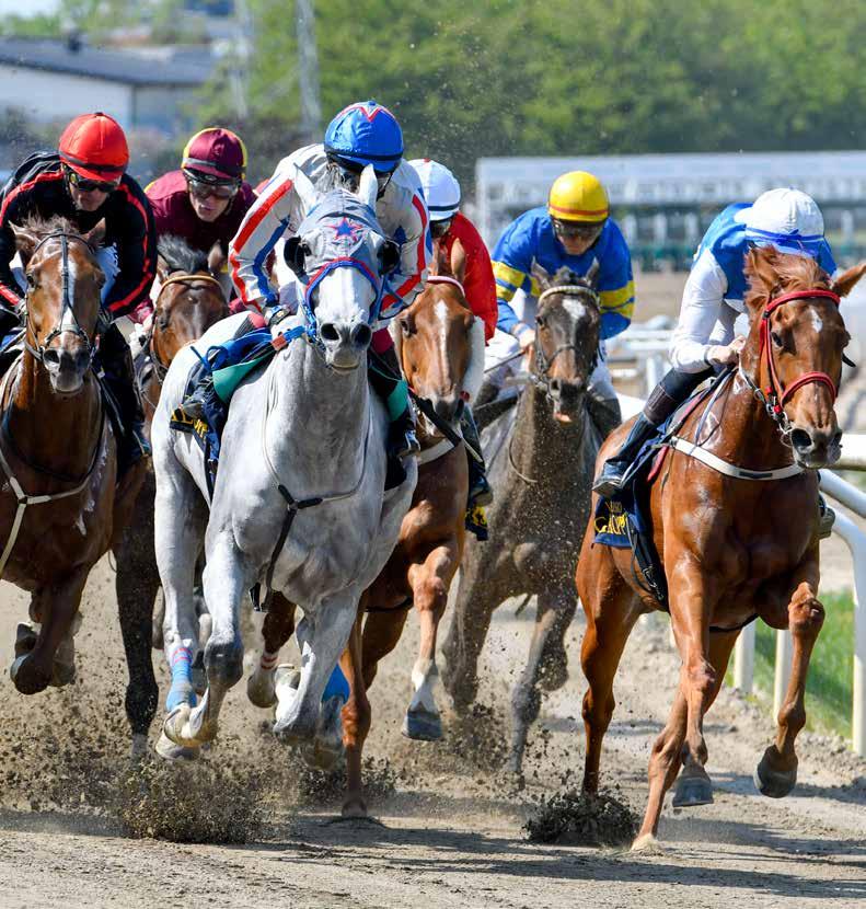 Dagens program 11.00 Entrén öppnar 11.50 Kvallöpning 12.15 Lopp 1 BÖRRINGE KLOSTER & GRÖNBY GÅRDSCHARKUTERI GULDHANDICAP 12.45 Lopp 2, V-1 TMG ÖRESUND SCANIA SPRINT 13.