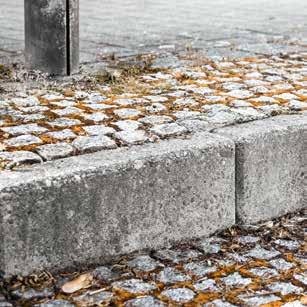 Orsaken är att mängden vatten som lagras i plantan varierar beroende på tidpunkten på dagen och når sin