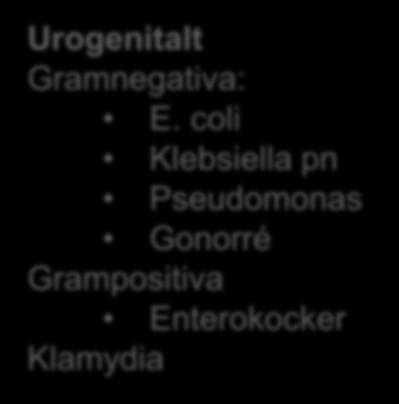 Grampositiva Enterokocker