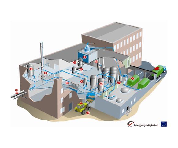 Sugar Platform Lignocellulose of different origin can be processed using the