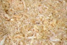 Cellulose,