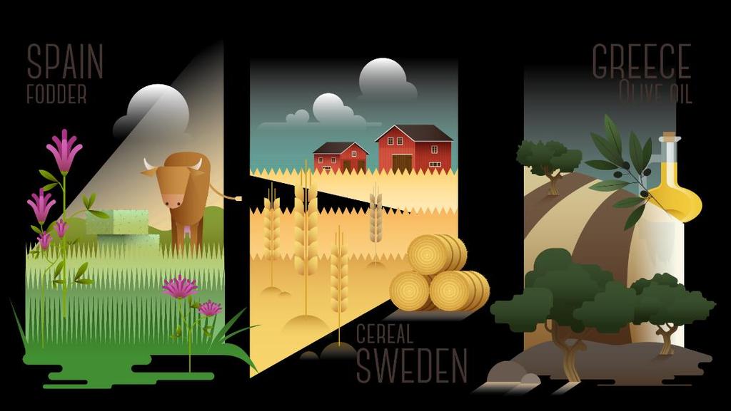 AGROinLOG Hur kan lönsamheten för halmbaserad etanol