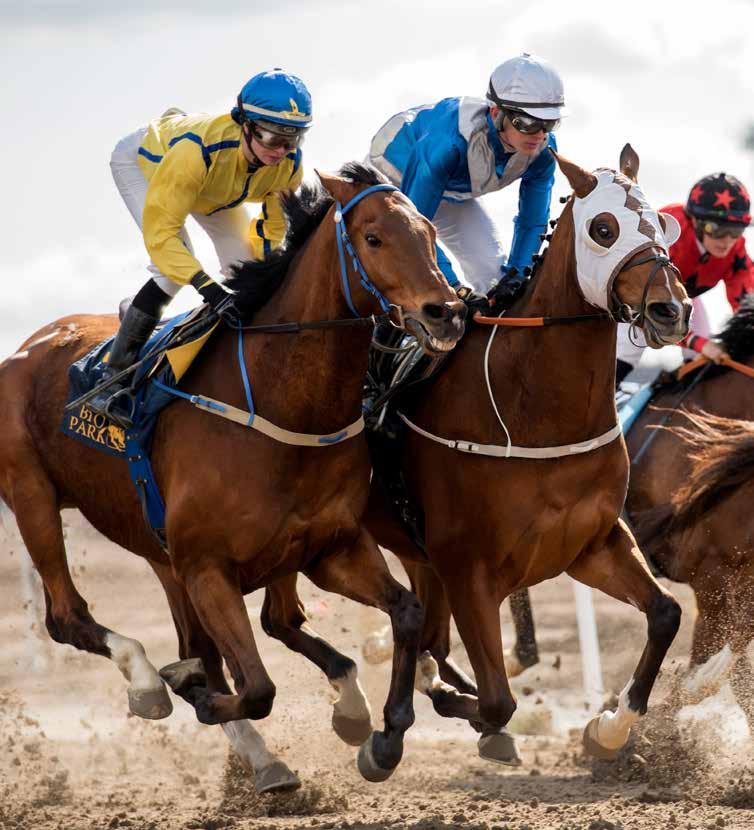 Dagens program 11.00 Grindarna öppnas 11.25 Kvallöpning 1 11.50 Kvallöpning 2 12.00 Tipsgenomgång från ledvolten 12.20 Lopp 1, V4-1 2-ÅRSLÖPNING 12.43 Lopp 2, V4-2 3-ÅRSLÖPNING 13.