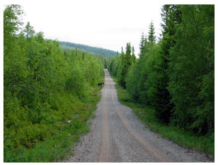 80 Leveransväg I Gatutyp hanteras endast enskilda vägar i de fall