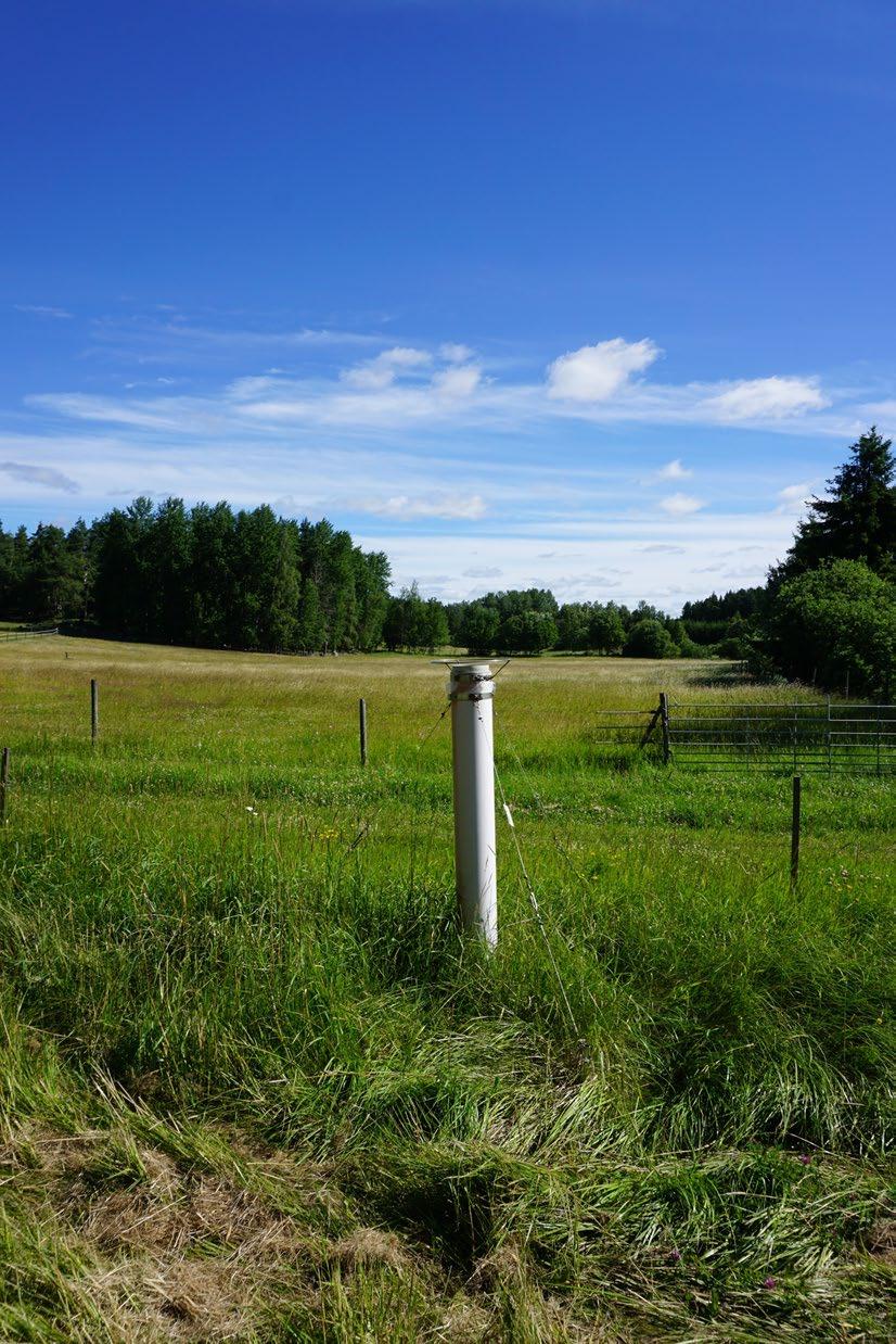 Bergby (A 01) Provyta med tallskog med inslag av gran, planterad 1930,