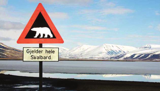 Dag 2 14 maj Longyearbyen, Svalbard Efter lunch åker vi på en spännande rundtur i Longyearbyen och dess omgivningar.