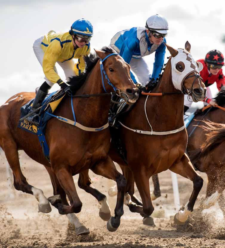 Dagens program 11.00 Grindarna öppnas 11.50 Kvallöpning 12.00 Tipsgengång från ledvolten 12.20 Lopp 1, V4-1 BRONSHANDICAP 12.46 Lopp 2, V4-2 JÄRNLÖPNING 13.12 Lopp 3, V4-3, LD-1 SILVERHANDICAP 13.