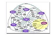 Individualized care process (value