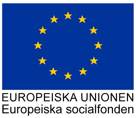 18(18) Dessutom är avslutsorsaken i vissa fall inte rapporterad till projektadministratör men projektledaren har dokumenterat utfallet till arbete eller studier.