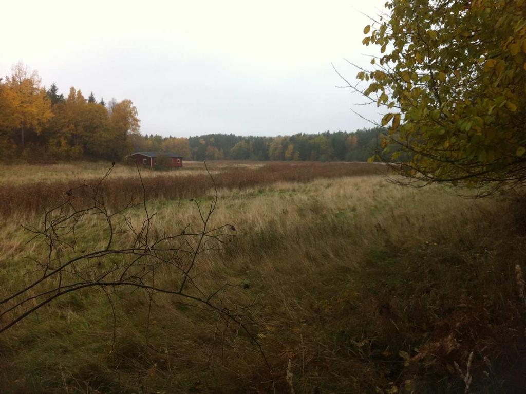 Vrångsholmen 2:1 m.fl., Tanums kommun Ny detaljplan Projekterings-PM Geoteknik sid. 7(19) Uppdragsnummer: 424-121 3.2.3 Centrala dalgången Den centrala dalgången omges av höga berg- och fastmarkspartier.