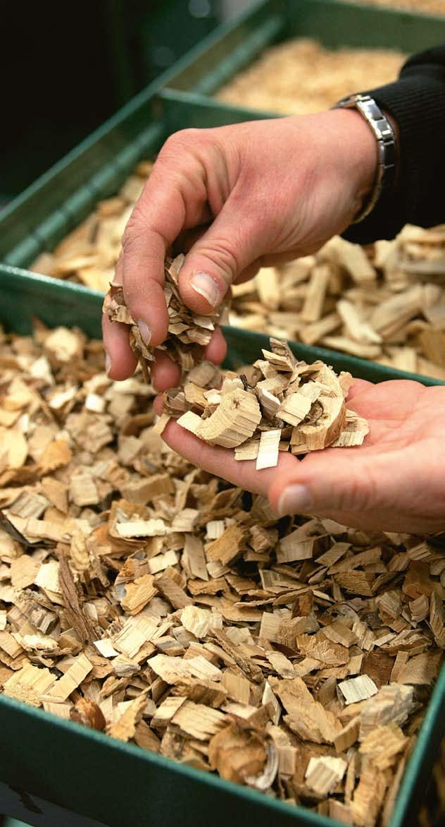 sektorprogram: näring,