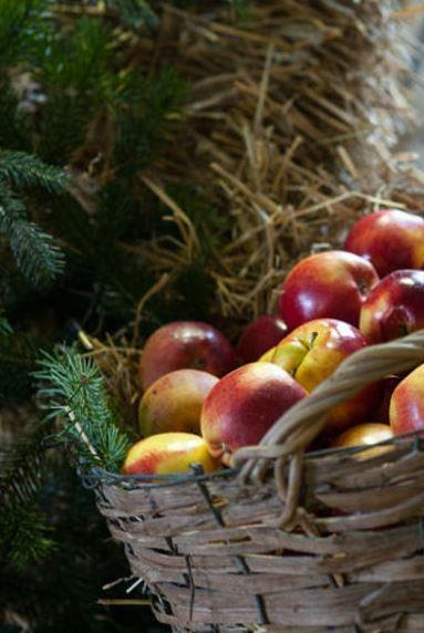 .. Allt möter du på årets traditionella julmässa, mitt i hjärtat av Skåne.