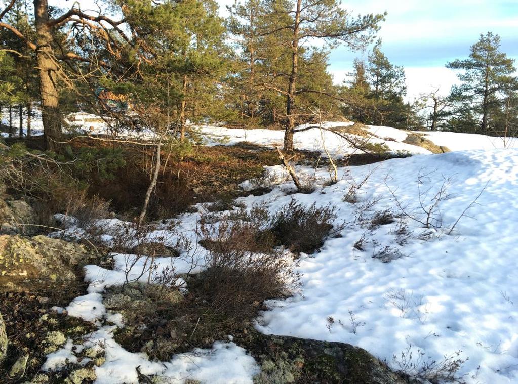 Skyddade Ersätt med arter sidhuvud vid Figur 5.