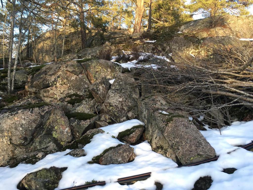 Förslag på fördjupade inventeringar I utredningsområdets östra delar finns miljöer som har förutsättningar att hysa hasselsnok, en art som omfattas av 4 artskyddsförordningen.