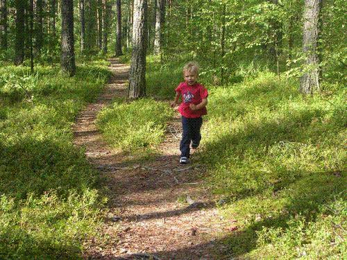 Terrängen lättframkomlig och kartan tydlig Terrängen skall vara