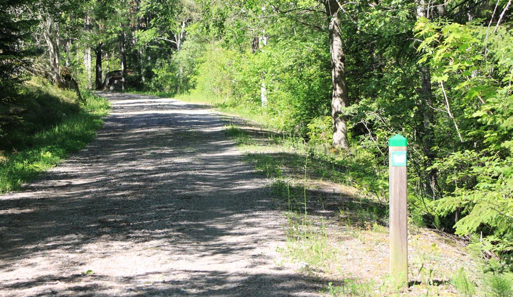 3. Fjärilsstigen Den gamla banvallen i början av Fjärilsstigen Parkering Busshållplats Stig Tillgänglighetsanpassad stig X Fjärilsstigen är en mycket bra plats att se många fjärilar.