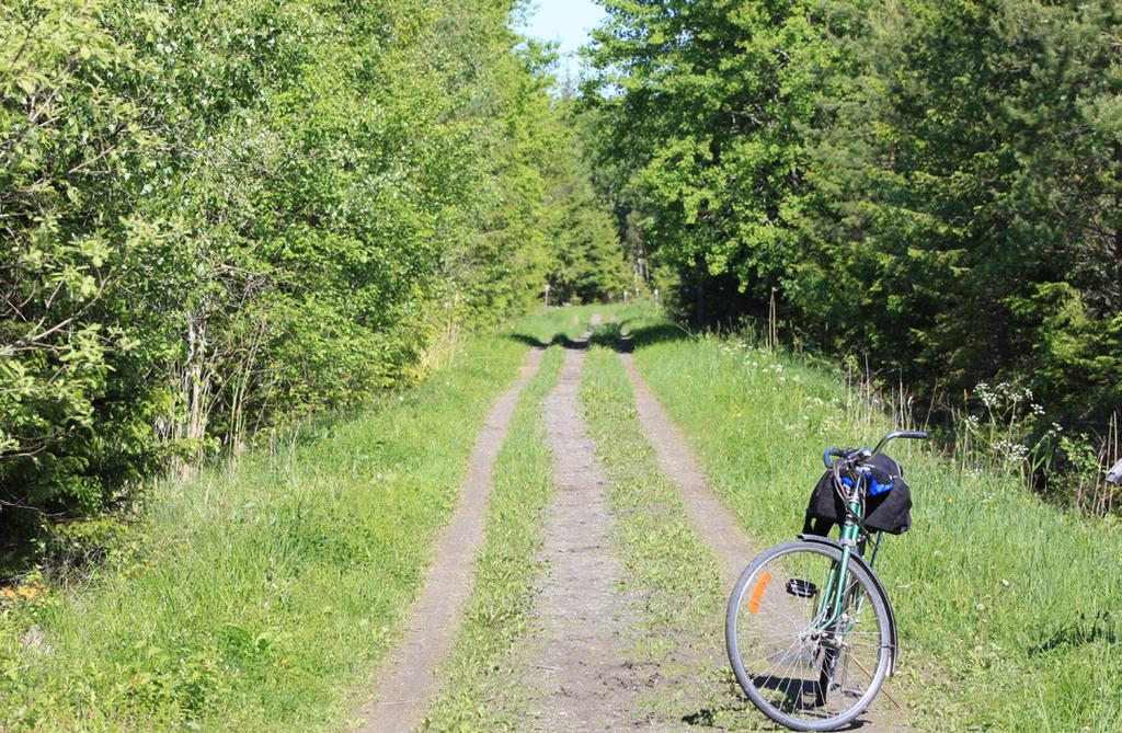 Vägen till fjärilsstigen från parkeringen vid Hällens gård Fjärilstigen börjar direkt från parkeringen vid Hällens gård.