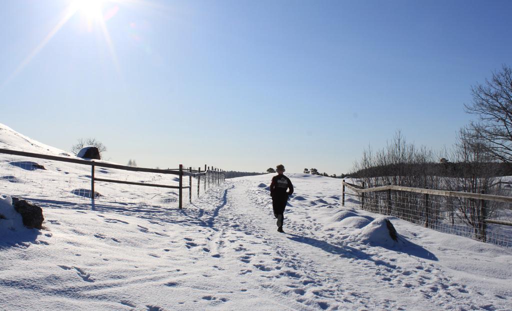 Hammarskogsspåret sträcker sig hela vägen till Hammarskogs naturreservat, totalt ca 10 km. Båda skidspåren passerar förbi vindskyddet Håga ängar som har en grillplats och är ett bra stopp.