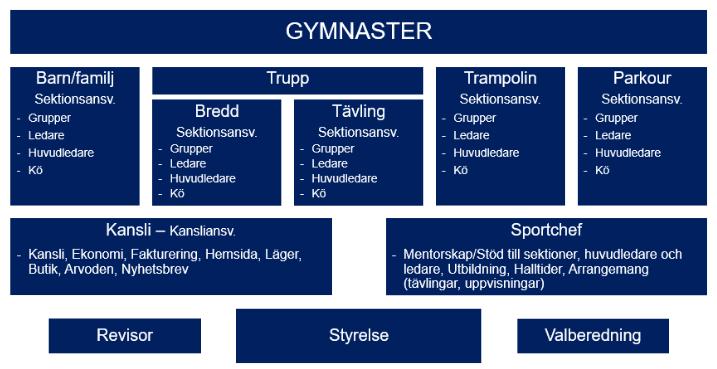 Organisation Sektioner Barn o familj Bamse, barn- och familjegymnastik 0-6 år ca Trupp bredd och tävling 7 år och uppåt Trampolin