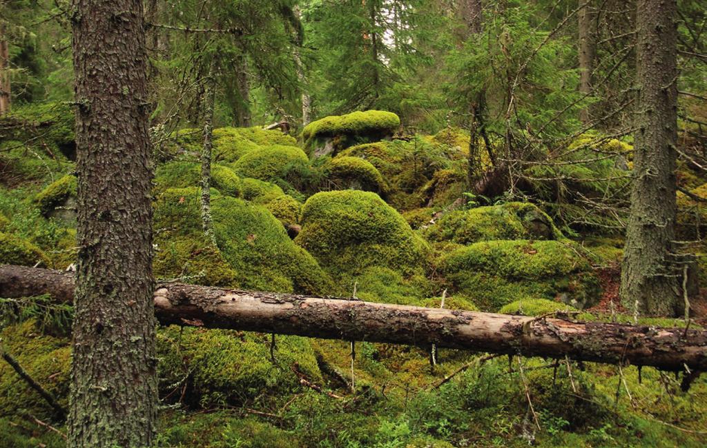 Onsdag 25 september 2019 ANNONSNYTT 9 Invigning av Agnsjöleden i Florarna 29 september kl.