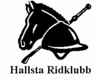 Närvarande: Anne-Marie Kossowski, Anna Blomstam, Elin Walser, Eva Senderovitz, Malin Johansson (adjungerad ridskolan), Daniel Järlestig, Charlotte Bäckström, Julia Hagström, Anneli Gustafsson och
