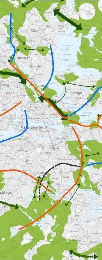 Nya underlag, exempel Nätverksanalyser av ädellövmiljöer, Täthetsanalyser av ädellövmiljöer, - en analys av funktionella landskap Täthetsanalyser av barr/blandskog samt för tallmiljöer Grunda