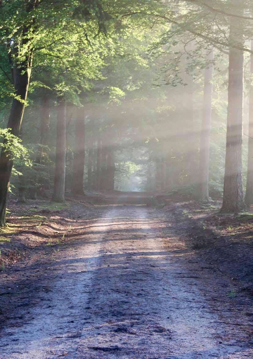 Det kan vara till god hjälp att ha riktlinjer och rutiner som gör det lite krångligt att köpa in något annat än det som organisationen bestämt