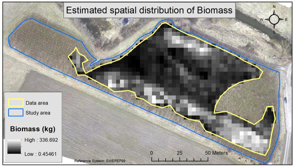Figure 13: The estimated biomass in each 3.55x3.55 cell. The area within the yellow line is the remaining 0.