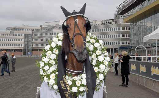 LITTLE DALING* (FI) SMEDENS MATA KLÖWE NEZZE Kr LADY MAION KOKEN HILL ÄLAN, fux s e Oskar Daizy II e Sir Douglas Uppf: Finsk Uppföare Äg: Suomela ny, Finlan Vit, lila hängs & svart lor.