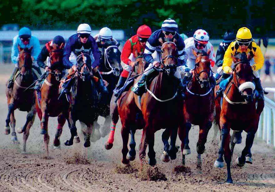 JÄGERSRO GALOPP Tävlingarna arrangeras av Skånska FältrittklubbenSvensk Galopp www.svenskgalopp.se e-post info@svenskgalopp.se Adress Jägersro Galopp, Box 90, 00 9 Malmö Öppettider Mån-fre 8.00-.00,.