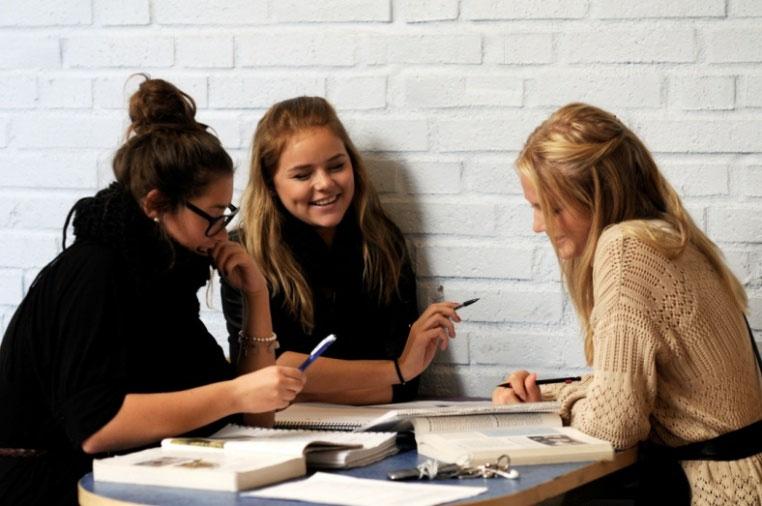 Fria läromedel SL kort till alla Prisbelönt bibliotek Fin idrottsanläggning Fri skollunch Elever erbjuds disponera dator/chromebook Goda kommunikationer (buss