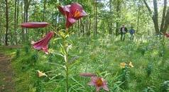 Korsord Vinn blommor! Skicka in din rätta lösning till någon av församlingarna senast 31/7 så lottar vi ut två presentkort hos Morgongåva blommor!