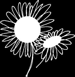 ENDAGSRETREAT I MIKAELSKYRKAN Lördag 5 oktober. Mer information senare. MINDFULNESS I VARDAGEN Två kurser startar i Mikaelskyrkan i september en dagtid och en kvällstid. Dagtid: Fem onsdagar 10.00-11.