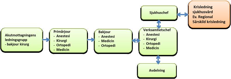 REGION KRONOBERG När sjukvårdsledare ambulans lämnar fortlöpande rapporter, lyssnar SOS Alarm, TiB och Ledningsansvarig sjuksköterska på akutmottagningen på den informationen som ges via Rakel. 9.