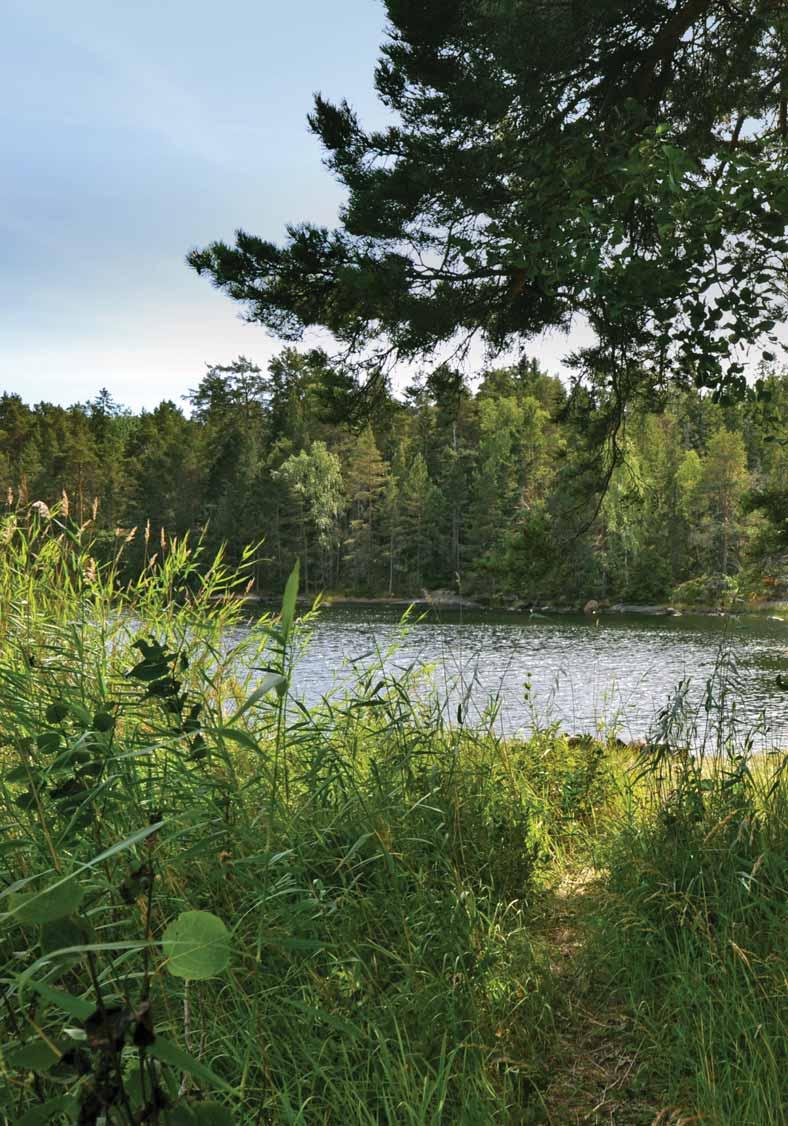 FAKTA BETECKNING Tranvik 1:10 Djurö, Möja och Nämdö församling Värmdö