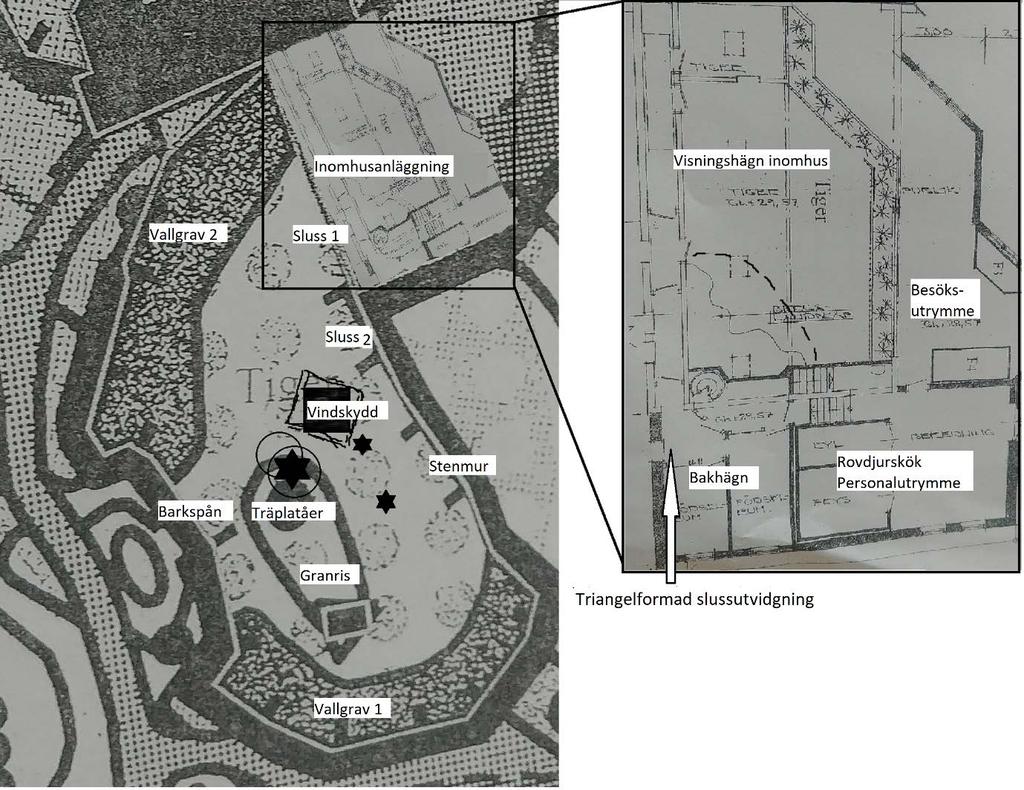 Figur 1. Karta över tigerhägnet på Borås djurpark. Uteanläggning till vänster och inomhusanläggning till höger i bild.