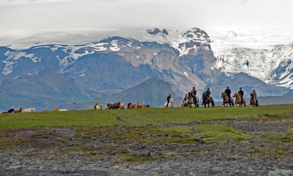 INGÅR I ALLA KORTA TURER Ridning: 4-6 timmar/dag med pauser. Upphämtning i Reykjavik: Varje dag kl. 17:30-18:00. Tur 7, 8, 9 Hotellboende (dubbelrum) eller gästhusboende (2-4 sängar/rum).