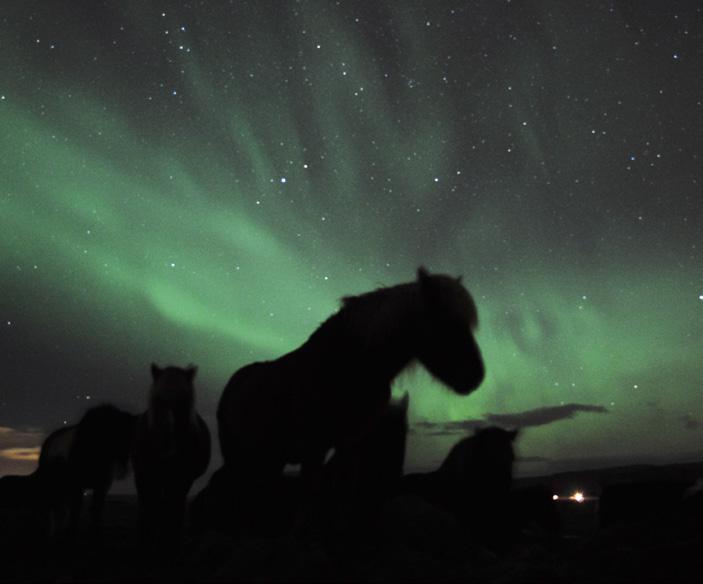 När norrskenet visar sig på himlen kan du enkelt gå ut ifrån ditt hotellrum och njuta av ett spektakulärt skådespel ovanför dig.