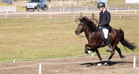 is Foto Sandra Fencl Louisa Hackl Lotta Sundström Birgit Guðjónsdóttir