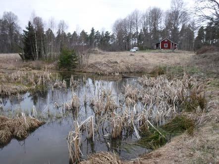 Sida 10 (13) Hogsta (jaktstugan) Fynd av både rom och yngel, troligtvis