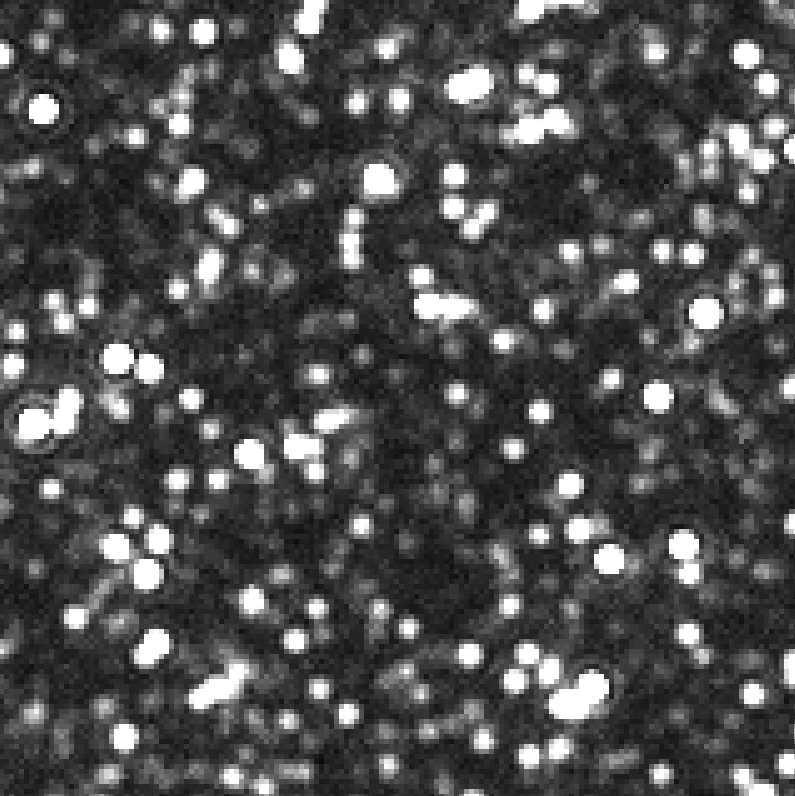 Besök i Virgohopen Simulering; 50 m diffraktionsbegränsat teleskop 1/10 of LMC Bar stellar density 1150 stars down to V=37.