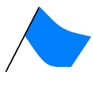 Ljusblå flagga/ljus Används när: -En förare kommer ifatt en långsammare och är på väg på att köra om. Tävlande ska: -Hålla sitt spår och vara beredd på att bli omkörd på båda sidorna.