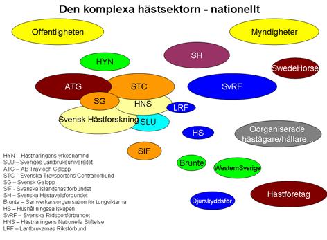 sektorn. Hade vi skrivit början av förra seklet hade det varit mycket troligt att jag föreslagit att starta upp en Svenska Kennelklubben för häst.