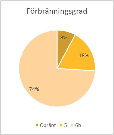 blivit helt genombrända (förbränningsgrad 5). Figur 3 visar förbränningsgraden inom de olika anatomiska regionerna.